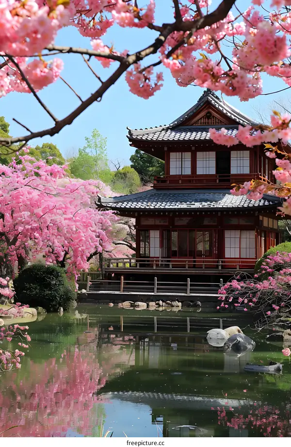 Japanese Traditional House with Cherry Blossoms