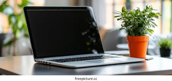 Modern Laptop on a Desk with a Small Plant