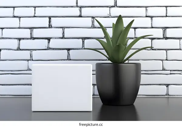 White Block and Black Pot with Plant on White Brick Wall Background