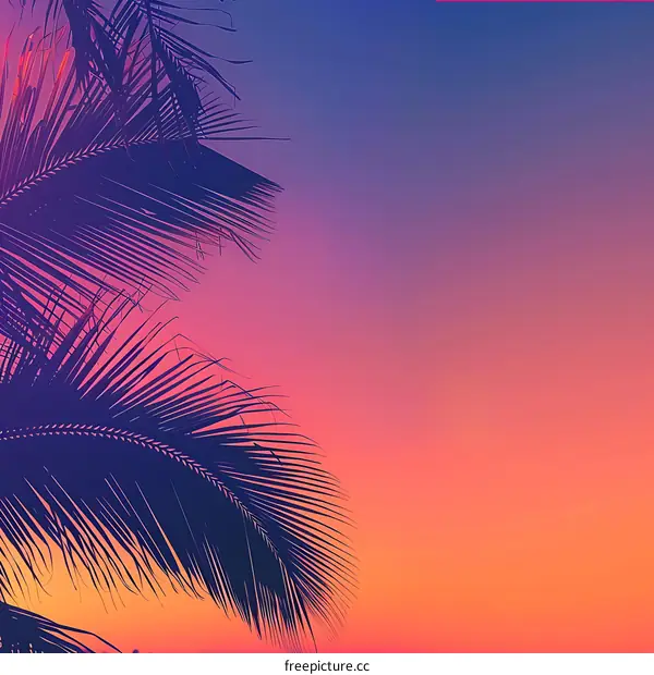 Palm Tree Silhouette Against Vibrant Sunset Sky