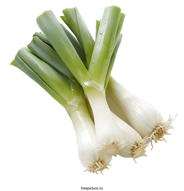 [Transparent Background PNG]Fresh leeks isolated on white background