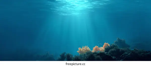 Underwater Ocean Sunlight Rays and Coral Reefs