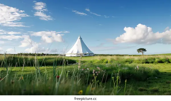 Luxury camping in a beautiful field with a stunning coastal view