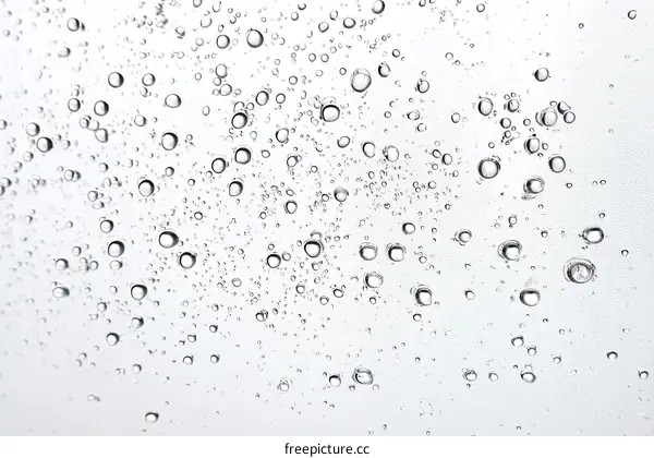 Close-up Water Droplets and Bubbles on a Surface