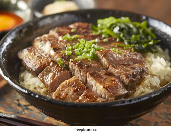 Sliced beef on rice with scallions and seaweed
