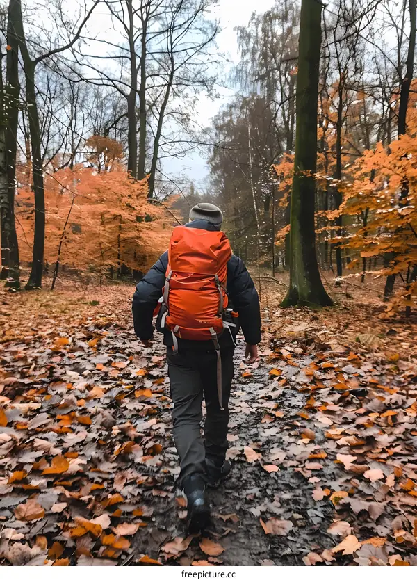 Man Hiking Through Autumn Forest Trail With Backpack