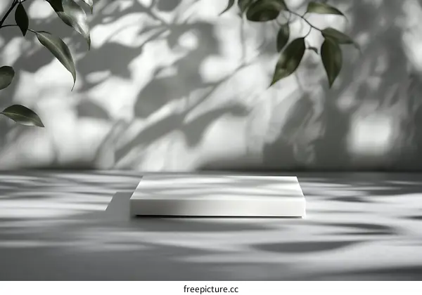 White Display Stand with Shadowy Greenery Background