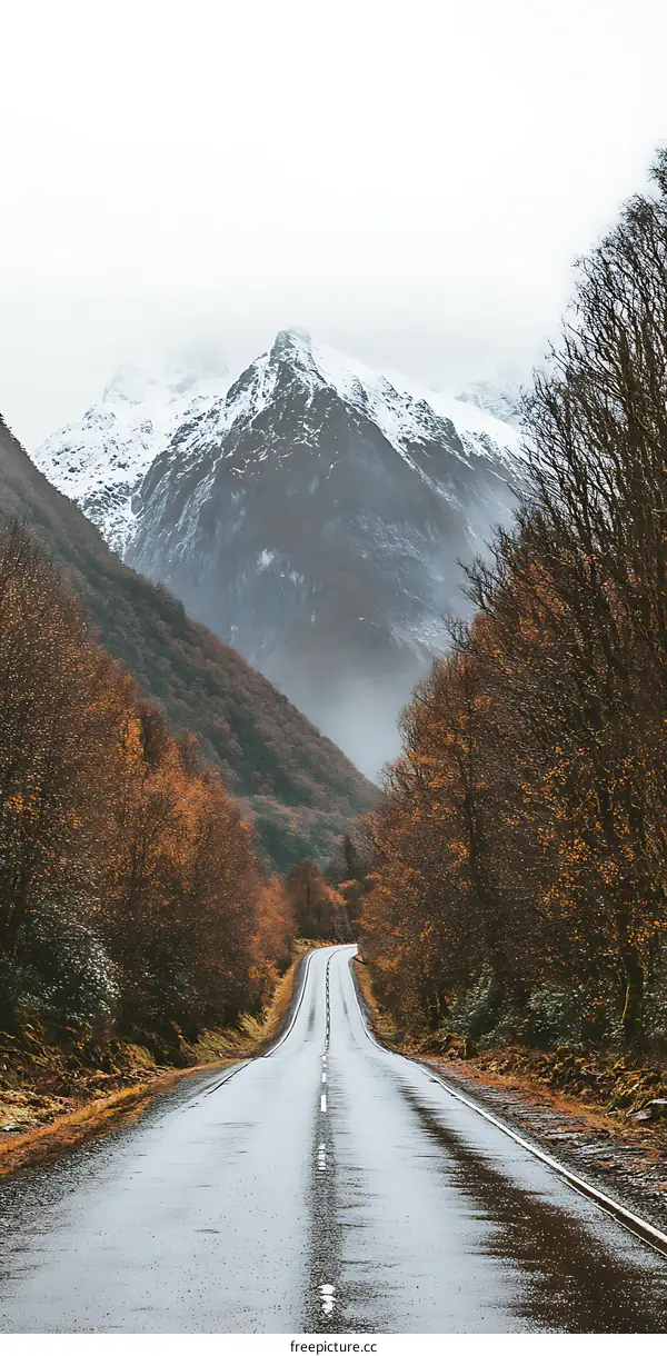 Empty Road Leading to Snowy Mountains