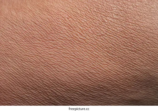 Human Skin Texture Close-up Photograph