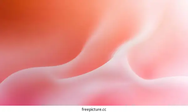 Abstract Gradient Background Design