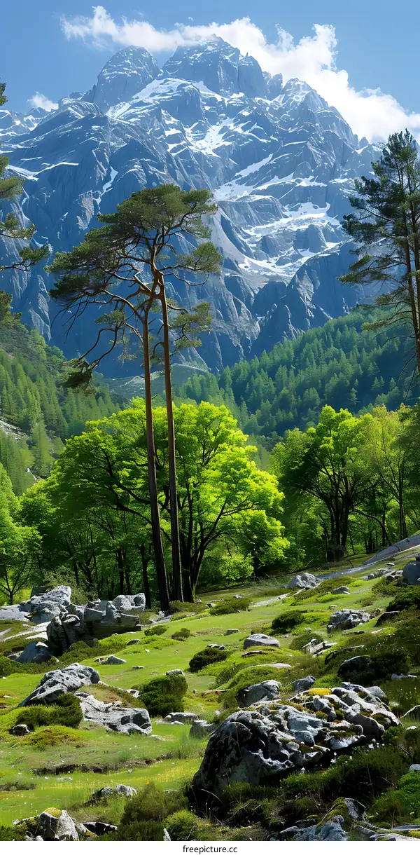 Green mountains and trees under blue sky