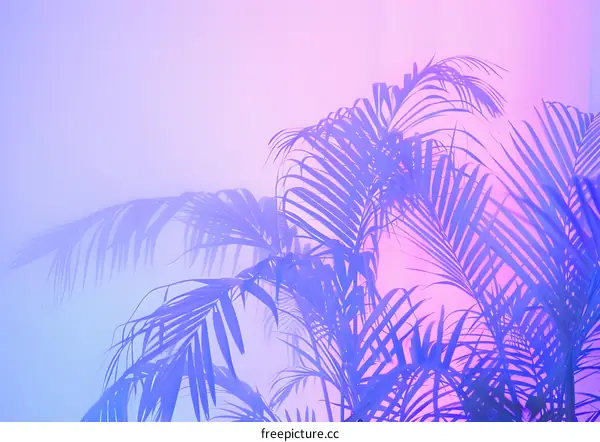 Tropical Palm Leaves With Purple and Pink Gradient Background