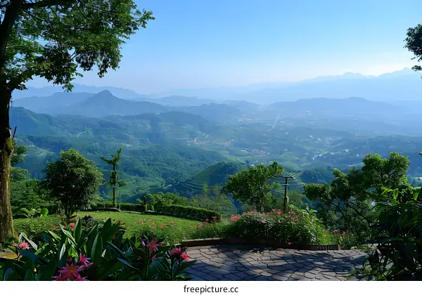 Mountain View From Hilltop With Green Grass And Flowers
