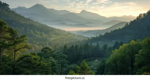 Misty Mountain Landscape with Sunlight Peak