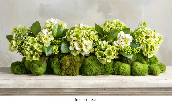 Green Hydrangea Flowers in Moss Arrangement