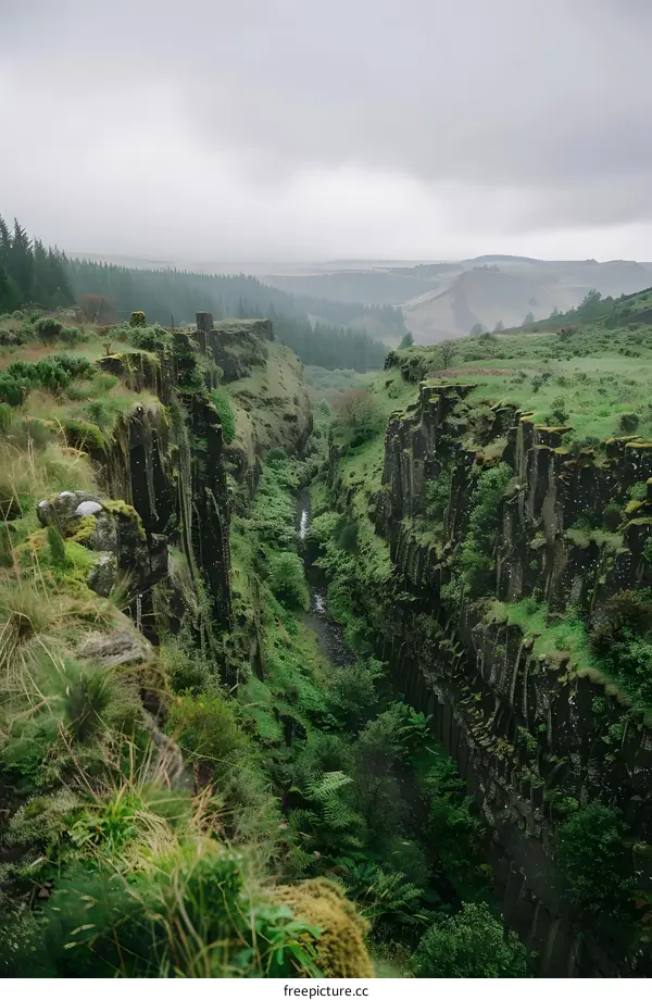 Aerial View of Lush Green Canyon in Iceland