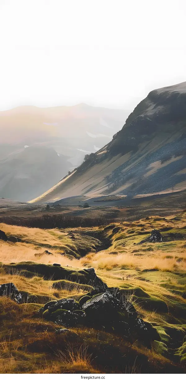 Green Grassy Field with Mountains in the Background