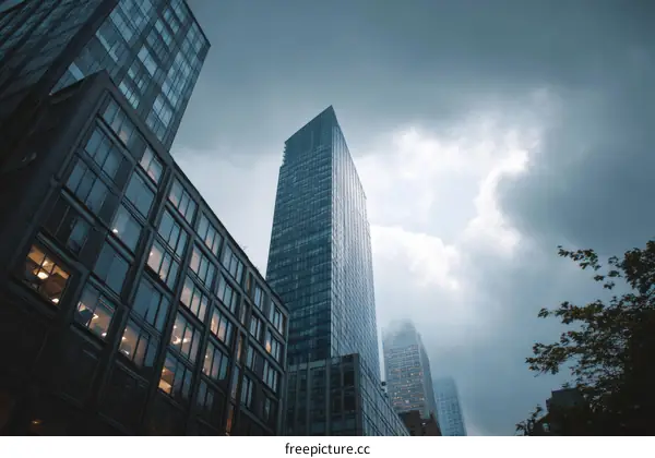 Modern Skyscrapers in a Cityscape