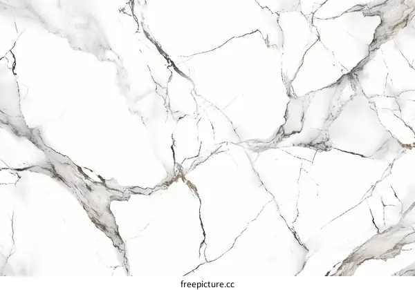 Elegant white marble texture with grey and gold veins