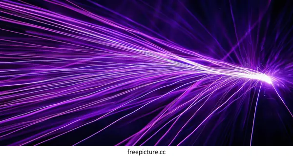 Purple glowing light trails on a black background
