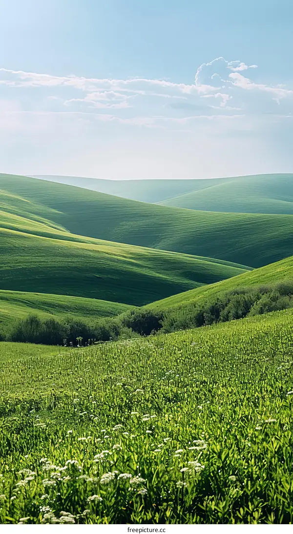 Green rolling hills under a blue sky