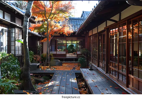 Japanese courtyard with a beautiful autumn maple tree