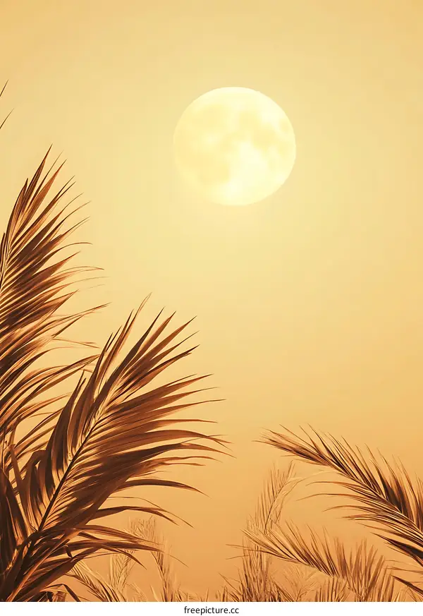 Tropical Sunset With Full Moon and Palm Leaves