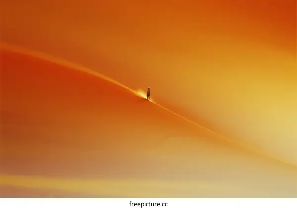 A lone figure standing on a vast golden sand dune under a warm sunset sky