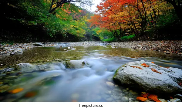 Autumn River Flowing Through Colorful Forest