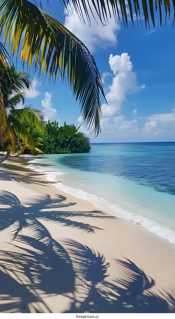 Tropical Paradise Beach with Palm Trees and Turquoise Water