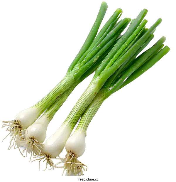 [Transparent Background PNG]Three Green Onions on White Background
