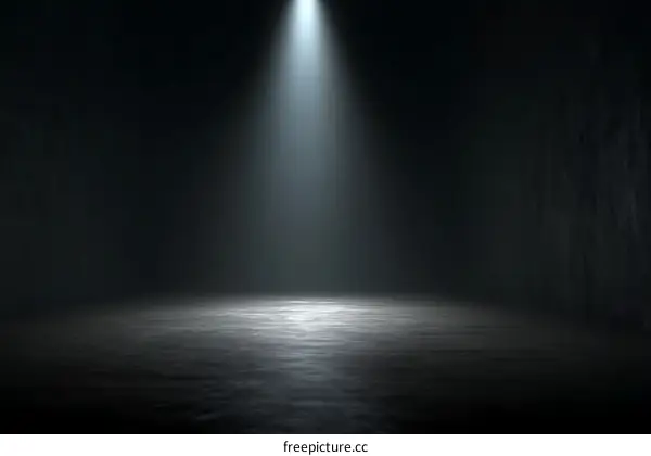 Spotlight Empty Dark Room Studio Background