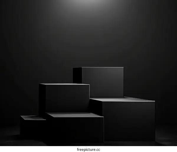 Modern Minimalist Black Product Display