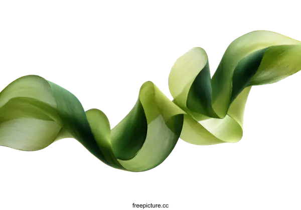 [Transparent Background PNG]Abstract Green Leaf Design