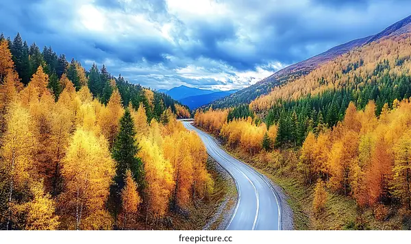Autumn Road Through Colorful Forest