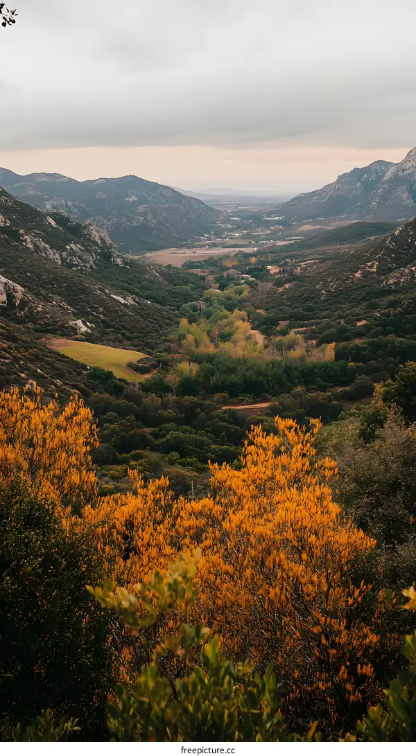 Mountain Valley Landscape With Golden Trees