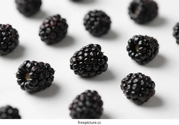 Fresh and Juicy Blackberries Arranged on White Background
