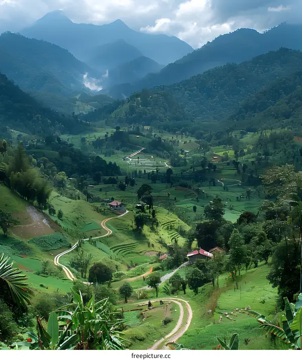 A view of a valley in the Andes Mountains of Ecuador