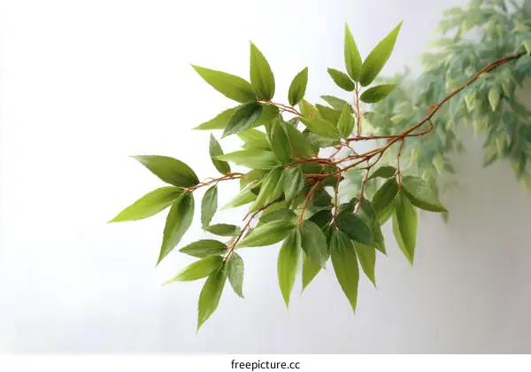 Fresh Green Leaves Branch Decoration
