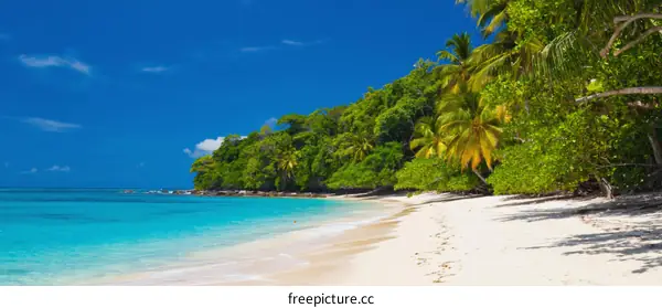 Tropical Beach Paradise Scenery