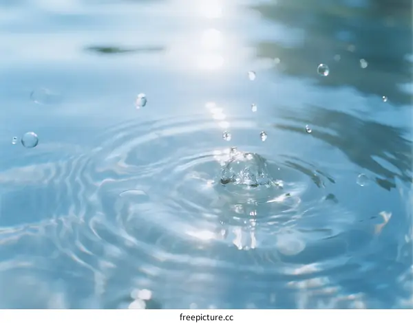 Sunlight Reflecting on Rippling Water with Splashing Drops