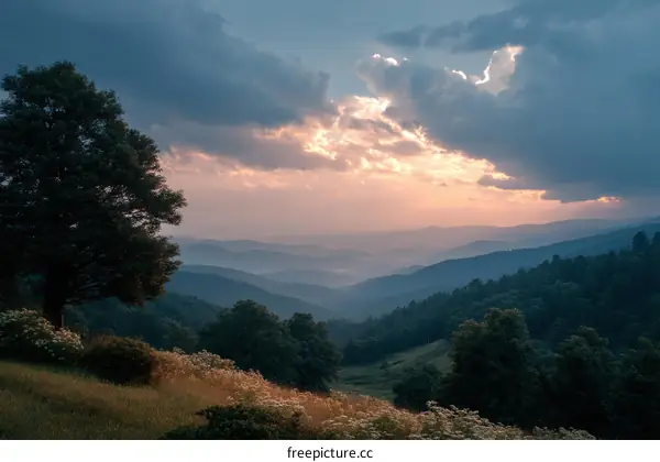 Misty Mountain Sunrise Landscape