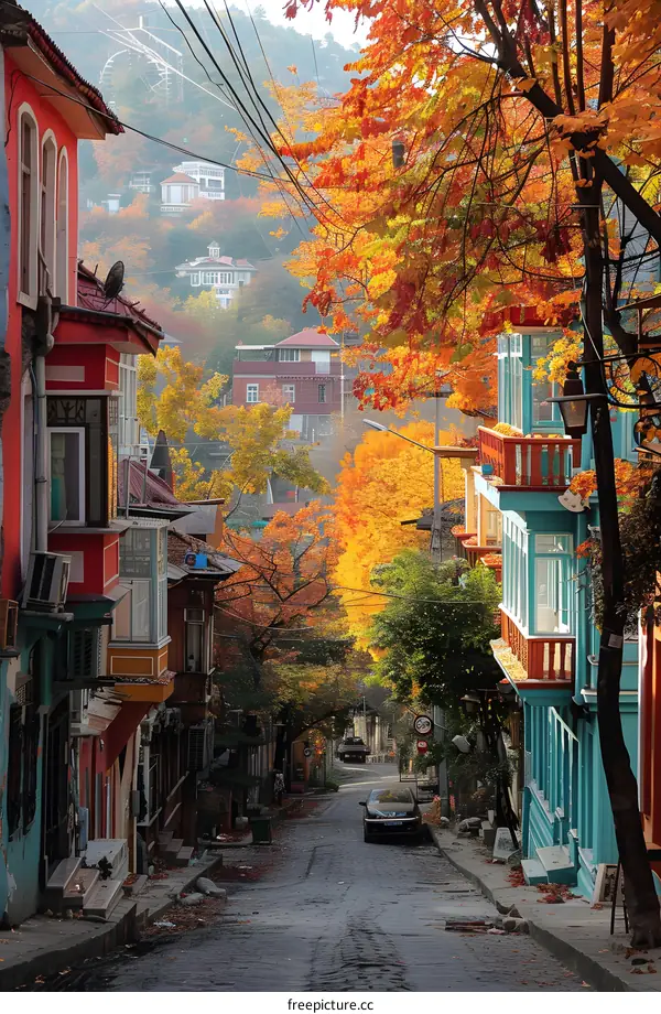 Colorful houses and trees in autumn