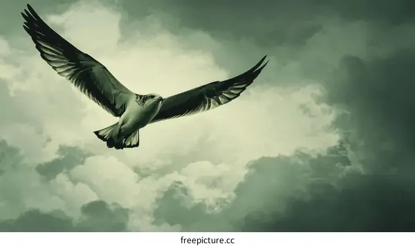 Majestic Bird Soaring Through Cloudy Sky