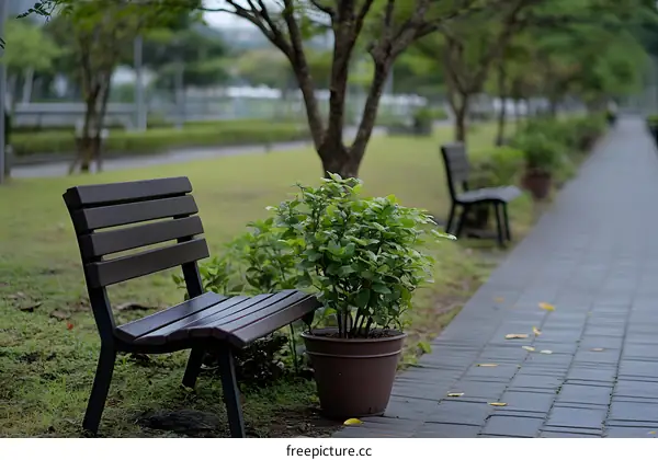 Empty Wooden Bench in a Park