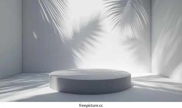 Modern Minimalist Product Display Platform