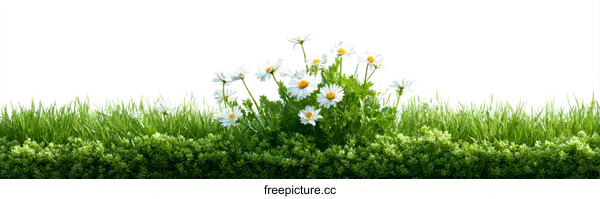 [Transparent Background PNG]Spring Flowers and Grass Border Design