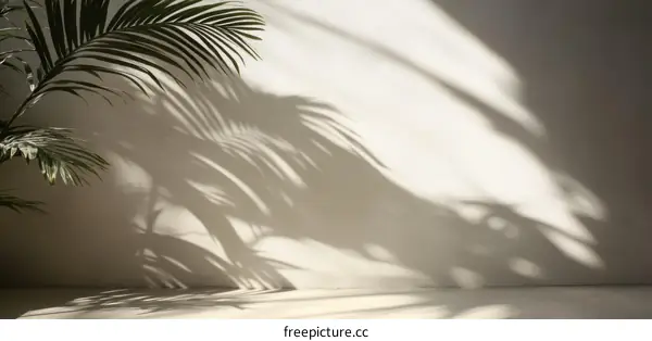 Sunlight Shadows on a Pale Wall with a Plant