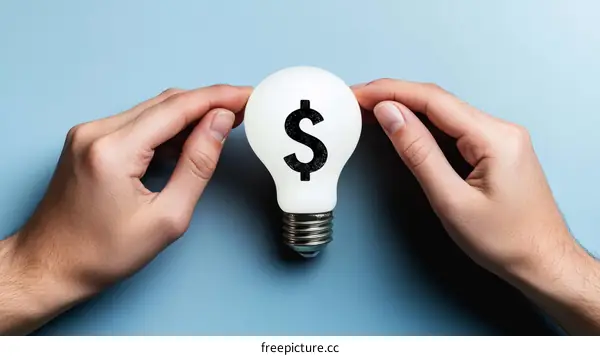 Financial Ideas Light Bulb Concept