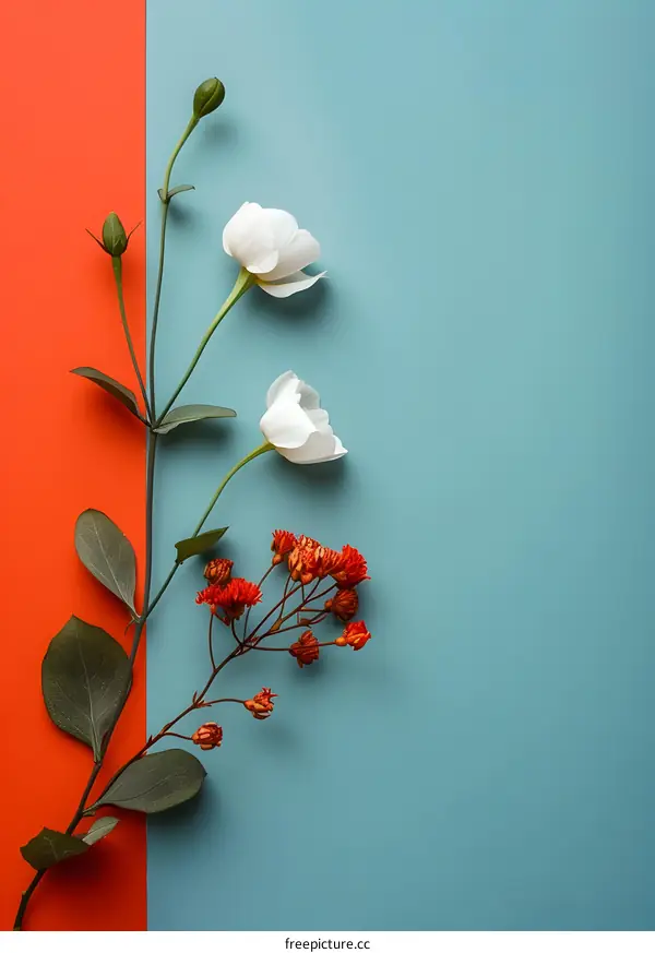 White and Red Flowers on Orange and Blue Background